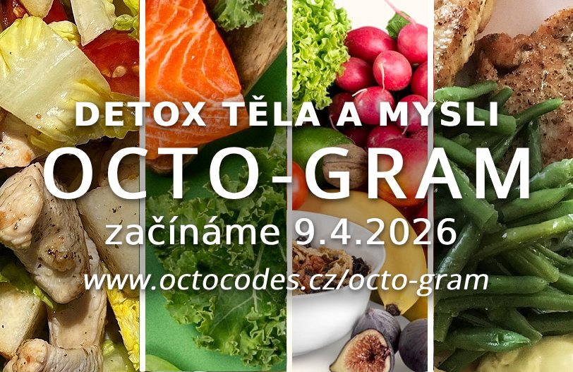 Táňa Havlíčková OCTO CODES