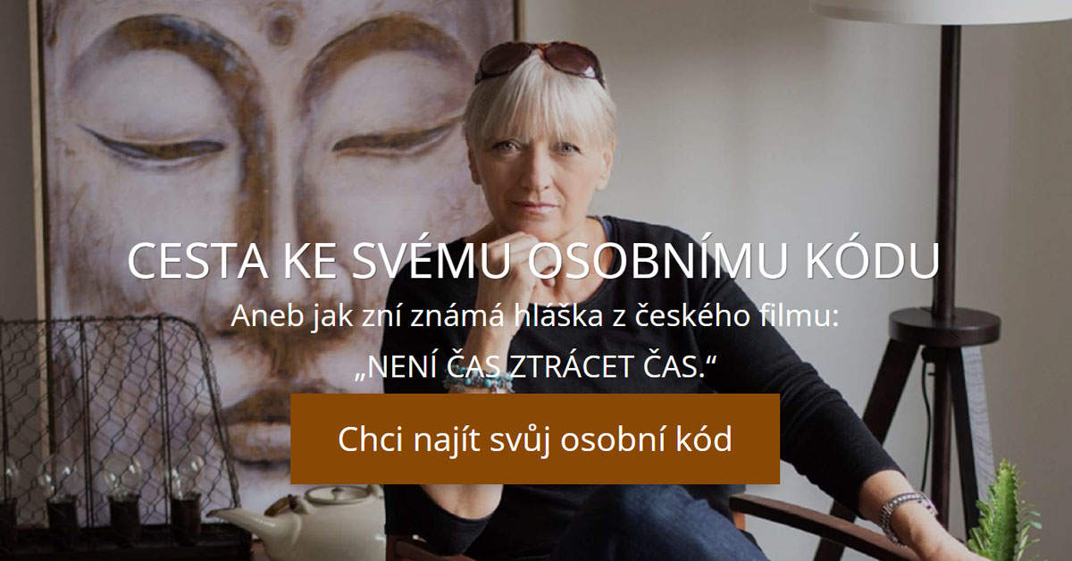 Táňa Havlíčková OCTO CODES